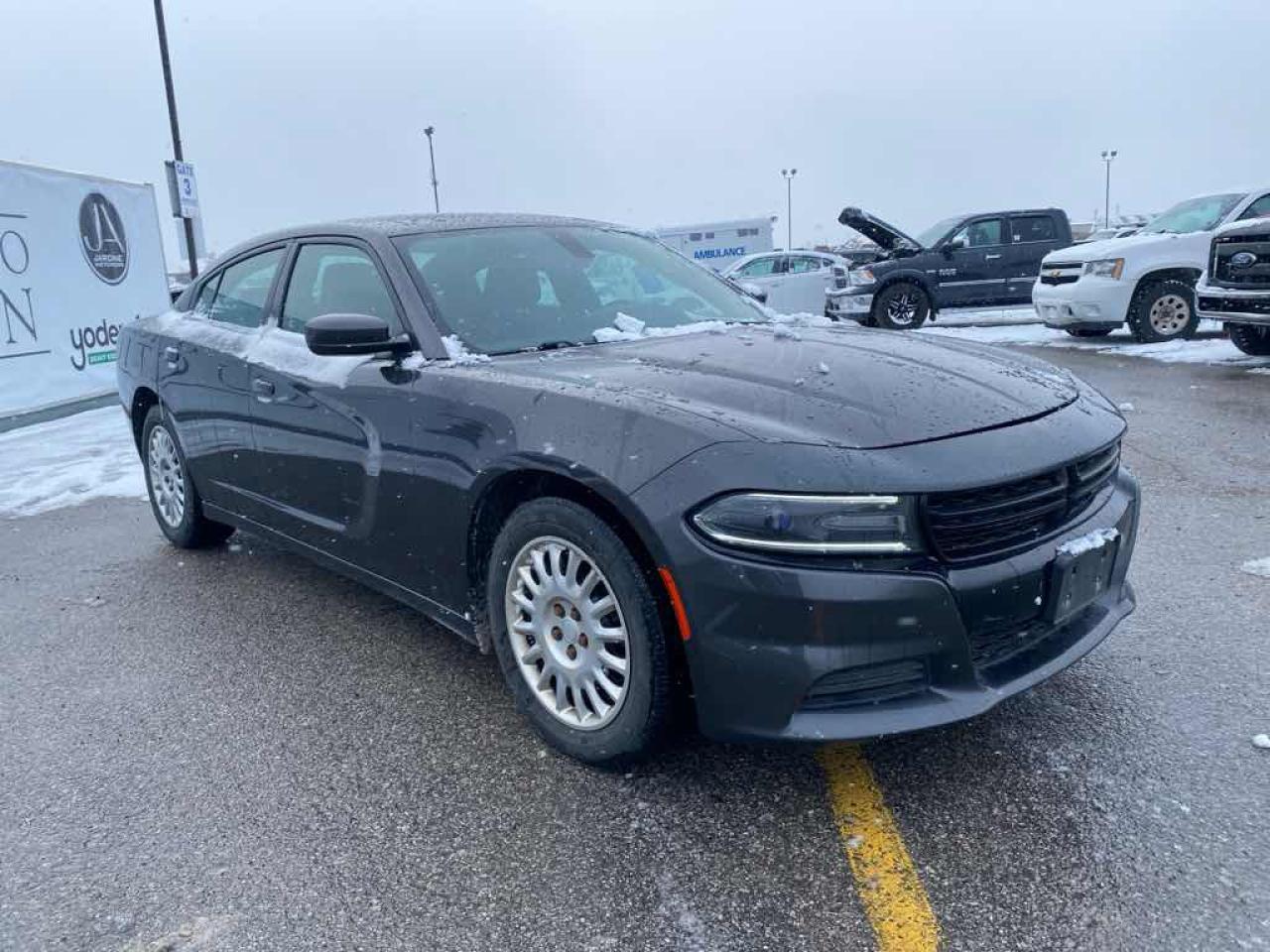 2016 Dodge Charger Police - Photo #3