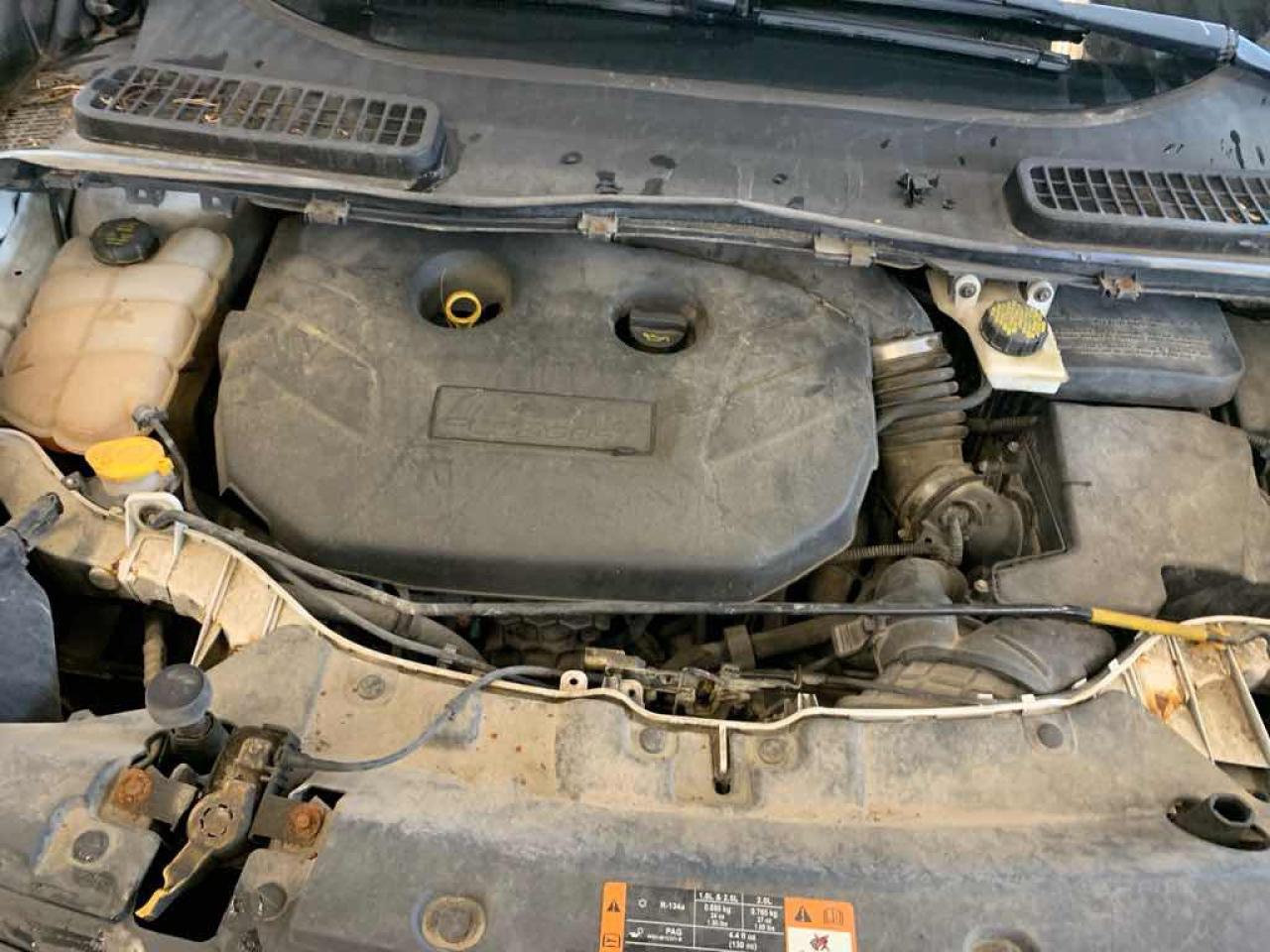 2014 Ford Escape SE - Photo #7