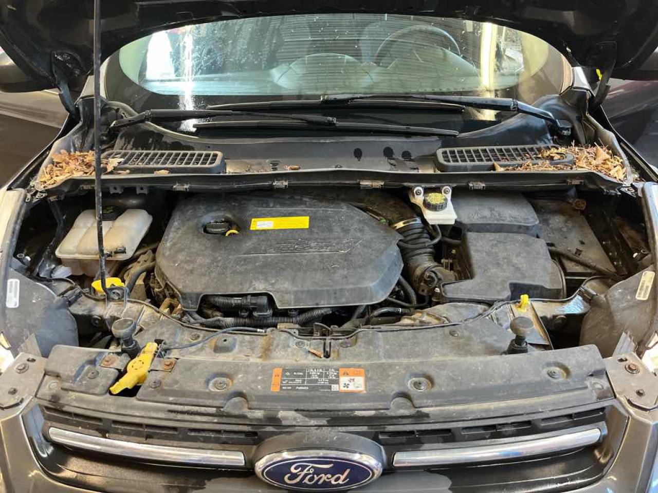 2016 Ford Escape SE - Photo #7