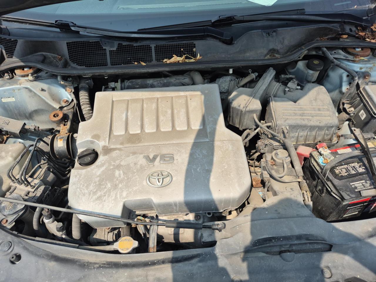 2009 Toyota Venza  - Photo #7