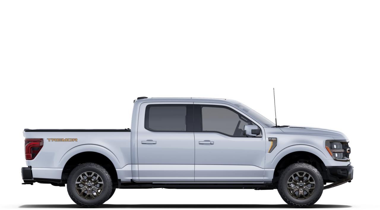 2025 Ford F-150 Tremor 4WD SuperCrew 5.5' Box Photo4