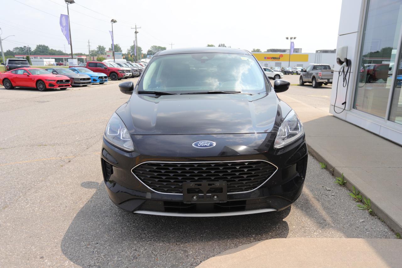 2021 Ford Escape SE AWD Photo4