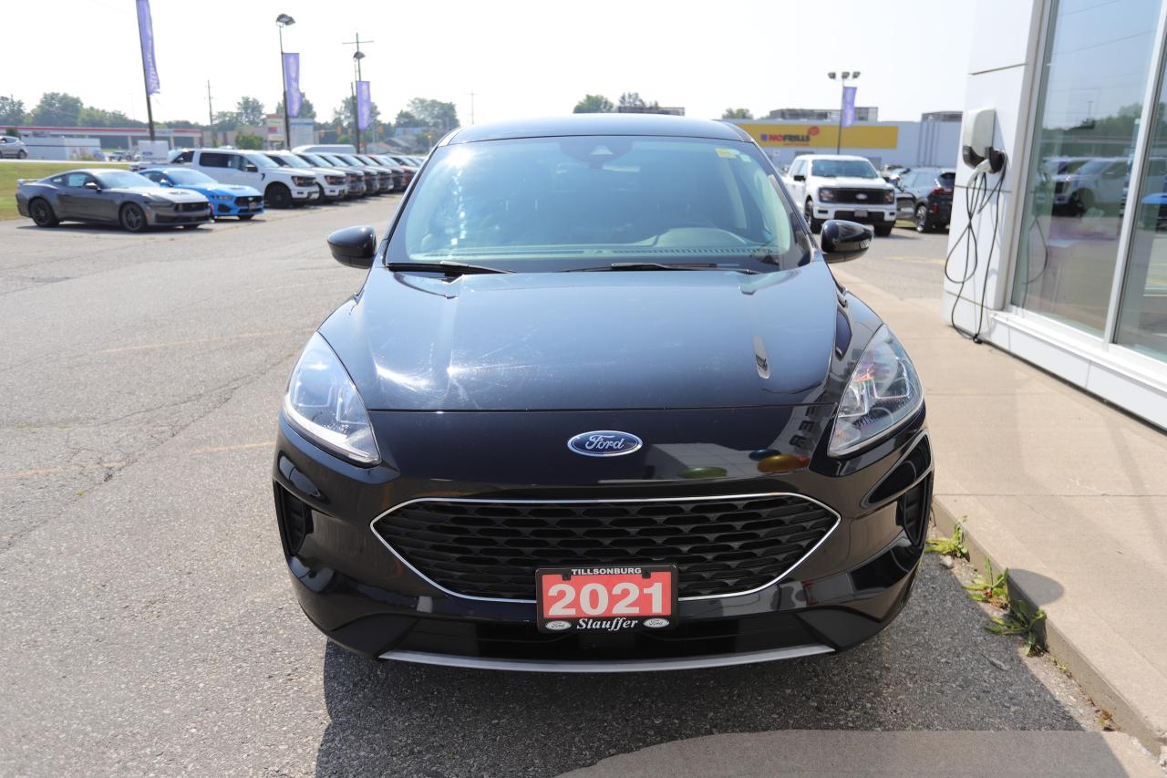 2021 Ford Escape SE AWD Photo5