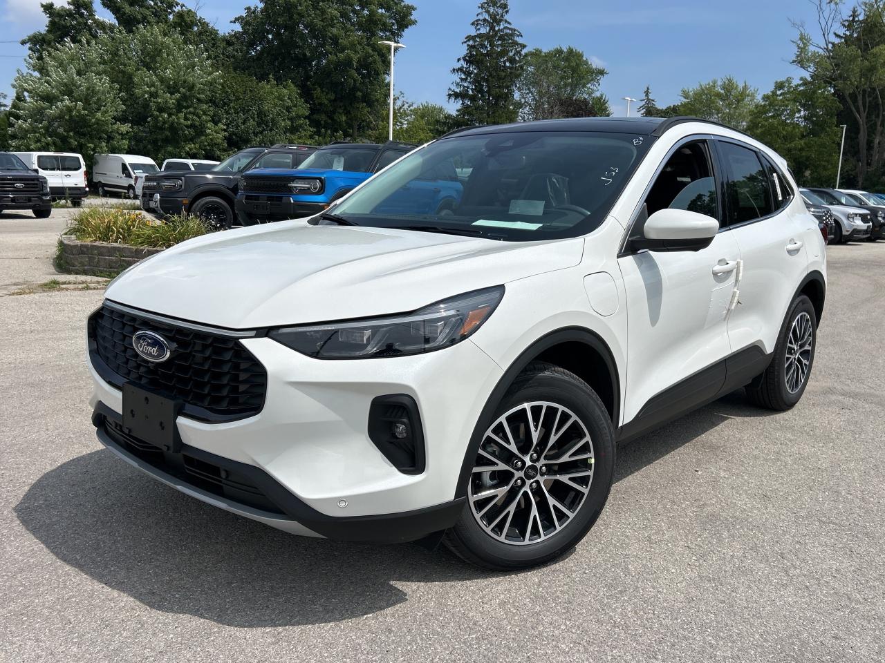 New 2025 Ford Escape PHEV  - Sunroof for sale in Caledonia, ON