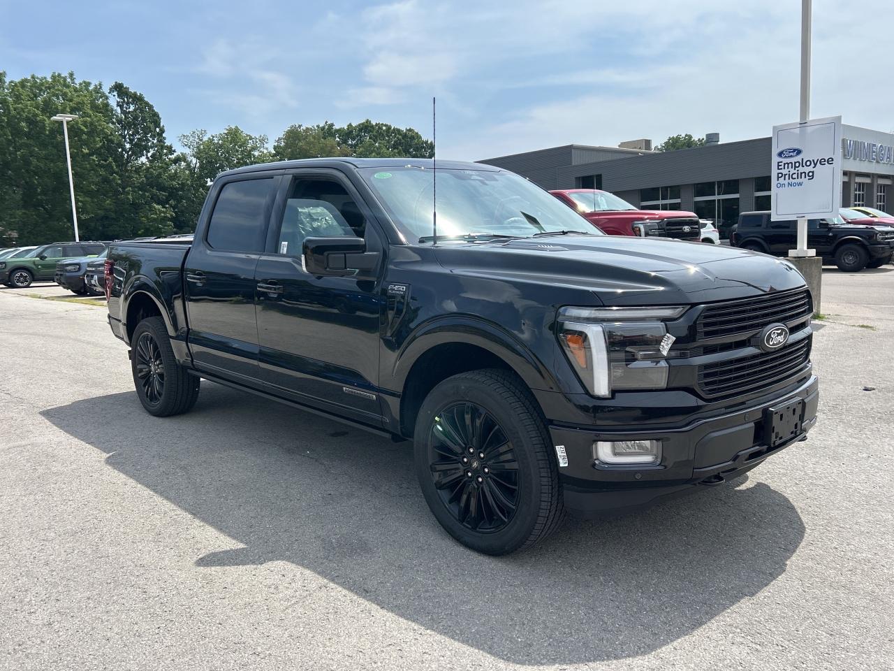 2025 Ford F-150 Platinum  - BlueCruise -  Sunroof Photo2
