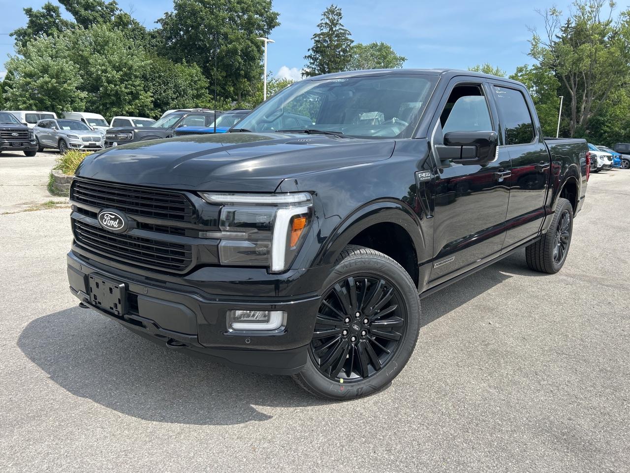 New 2025 Ford F-150 Platinum  - BlueCruise -  Sunroof for sale in Caledonia, ON