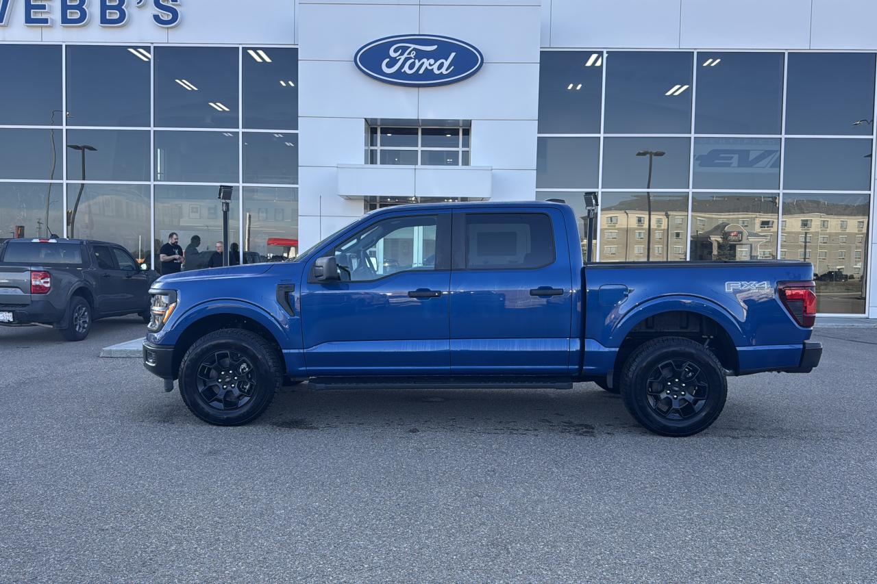 2025 Ford F-150 STX Photo