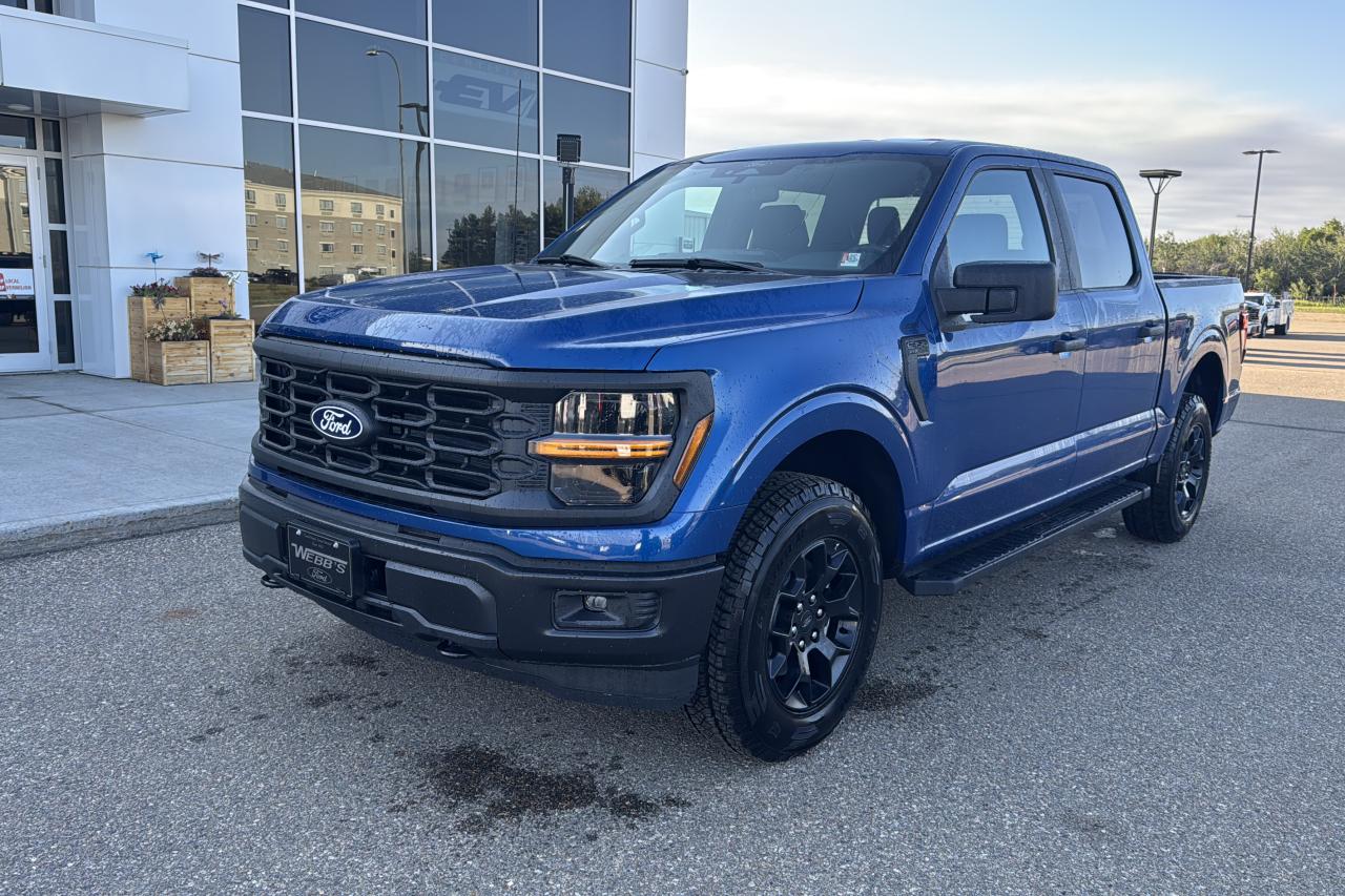 2025 Ford F-150 STX Photo