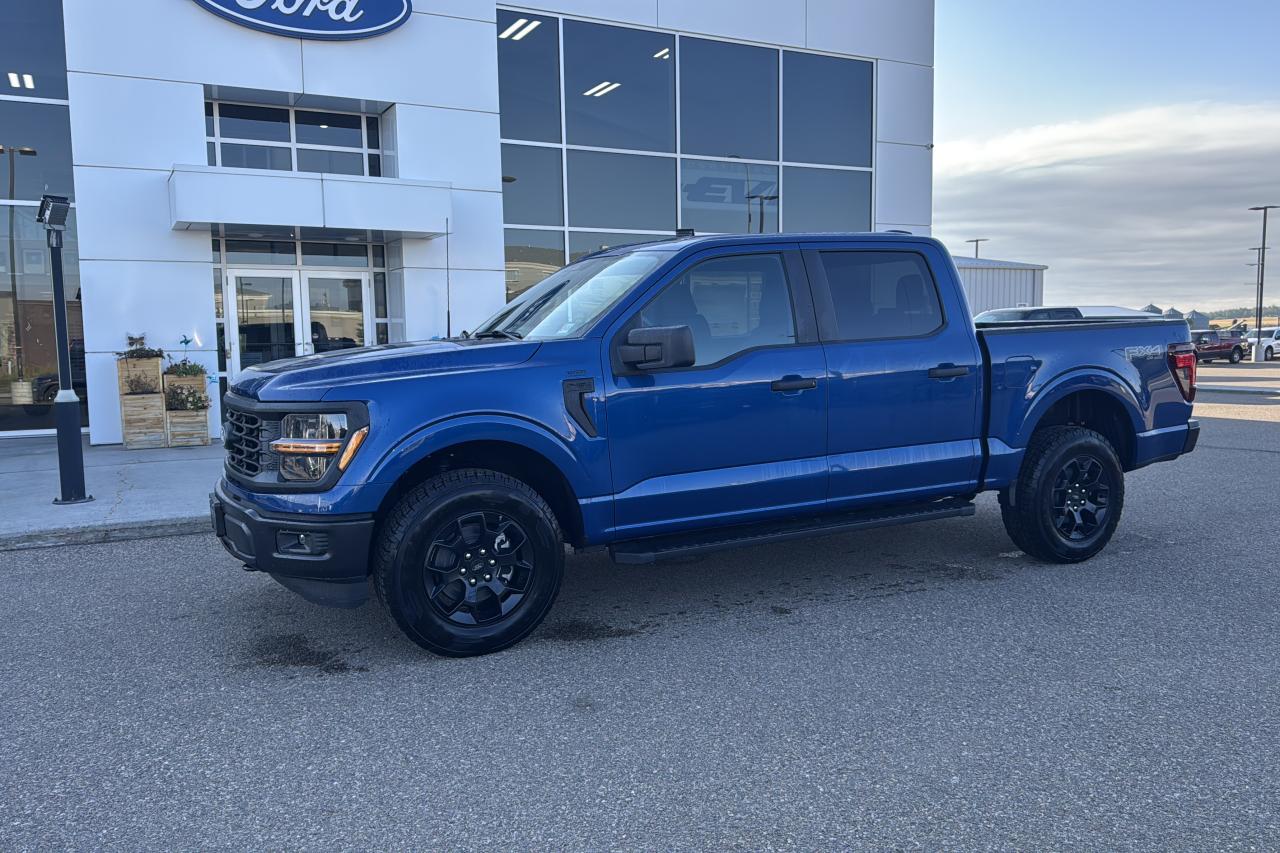 2025 Ford F-150 STX Photo
