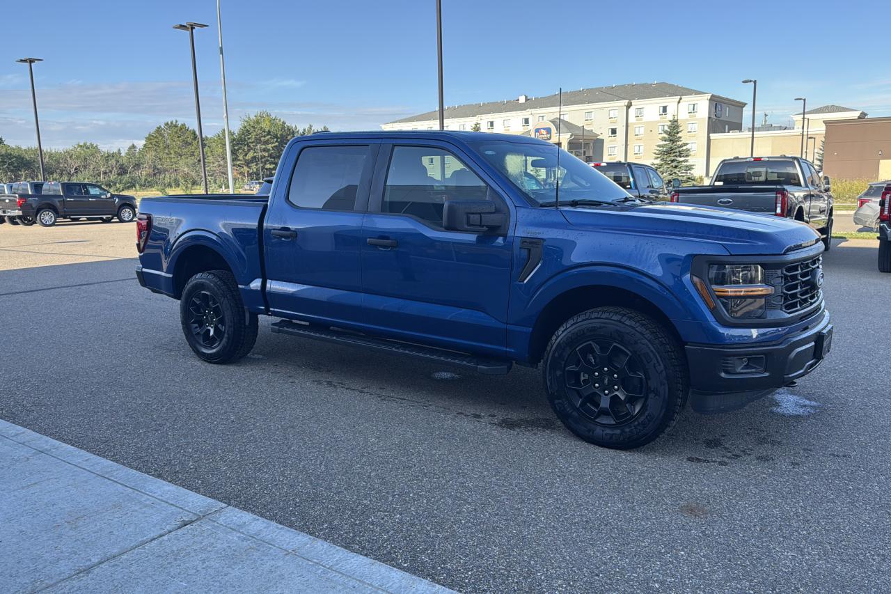 2025 Ford F-150 STX Photo5