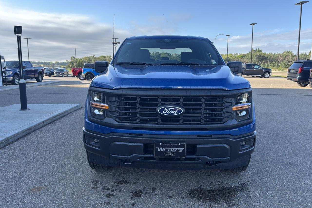 2025 Ford F-150 STX Photo5