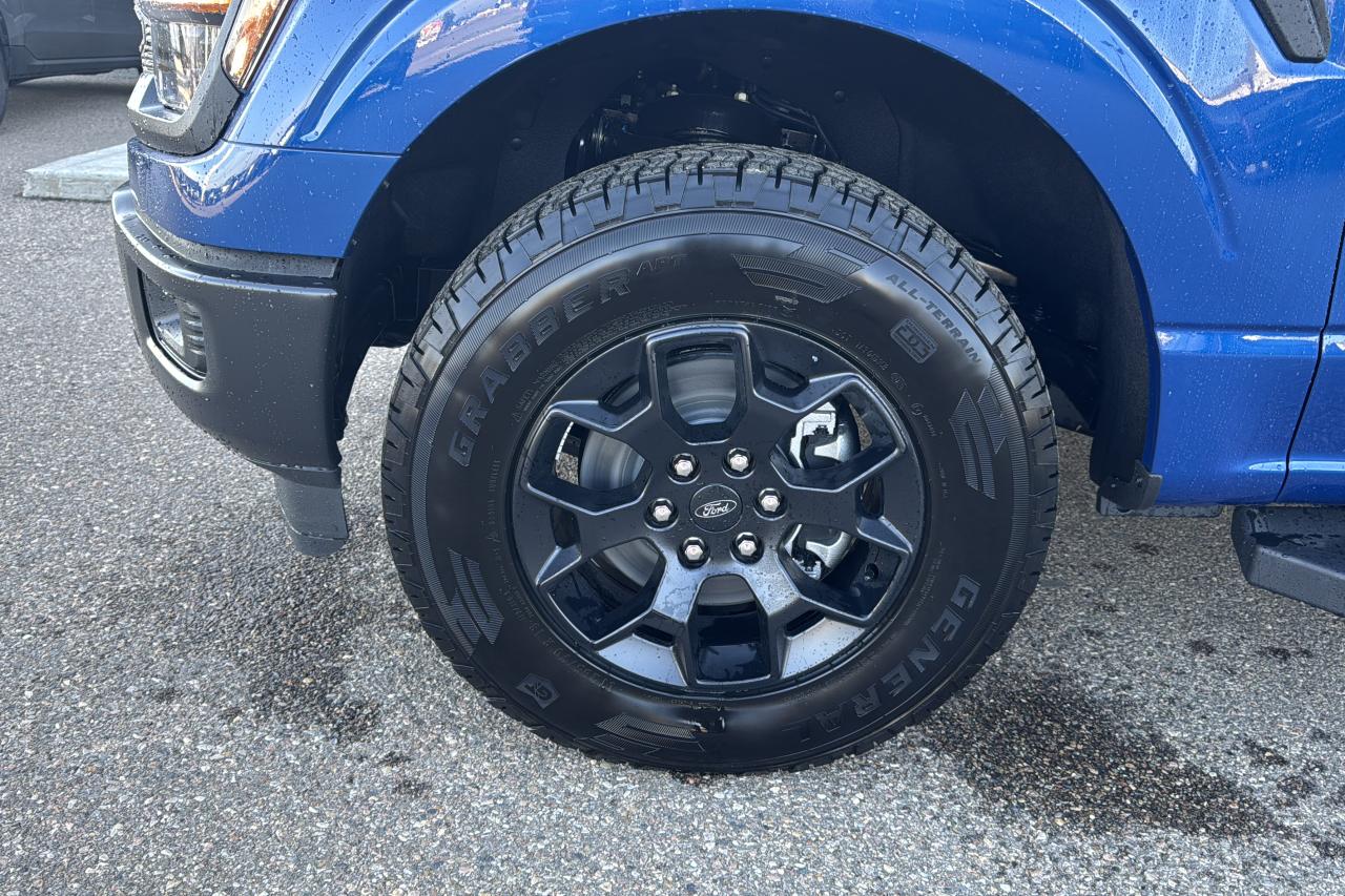 2025 Ford F-150 STX Photo5