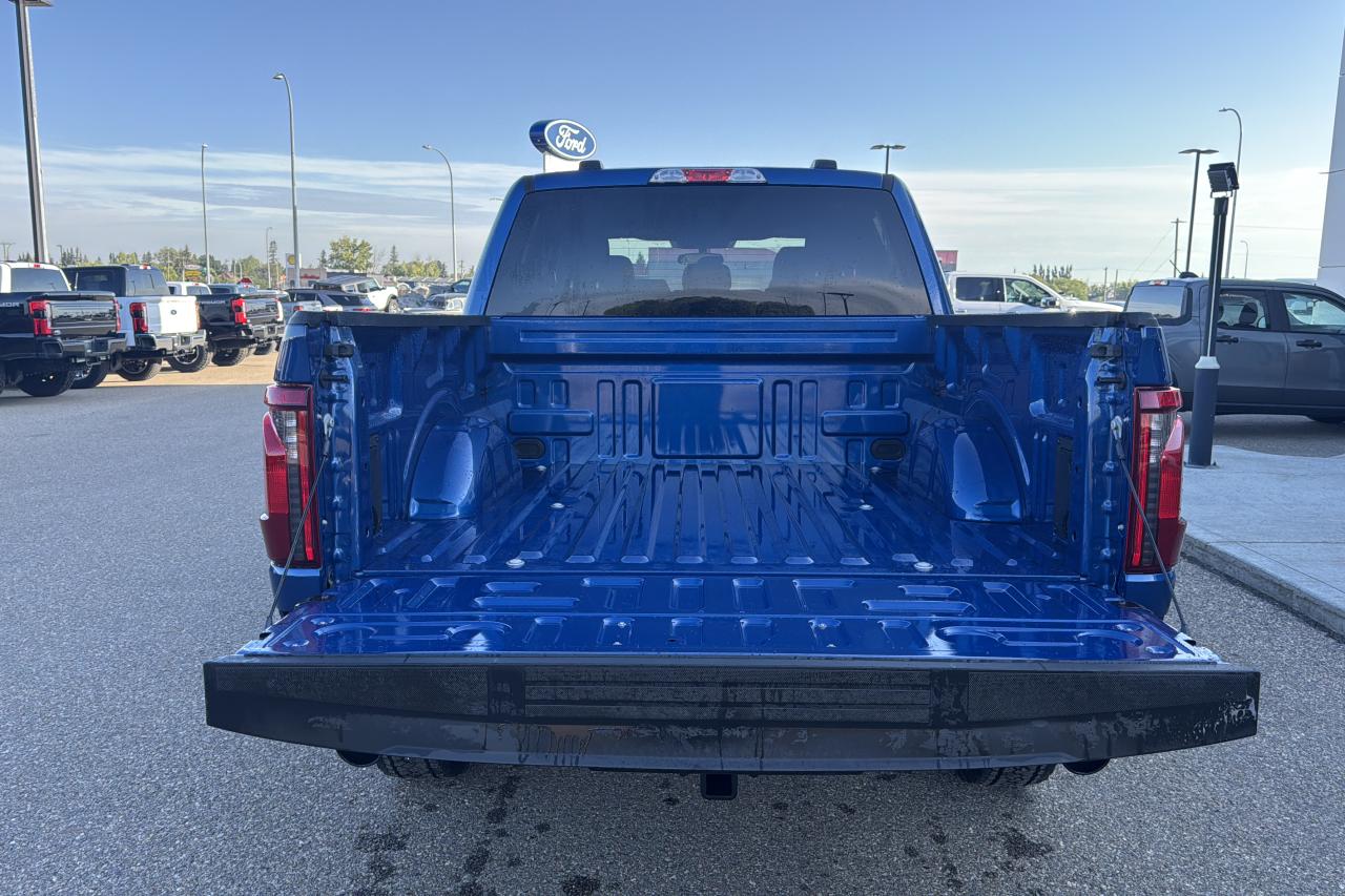 2025 Ford F-150 STX Photo5