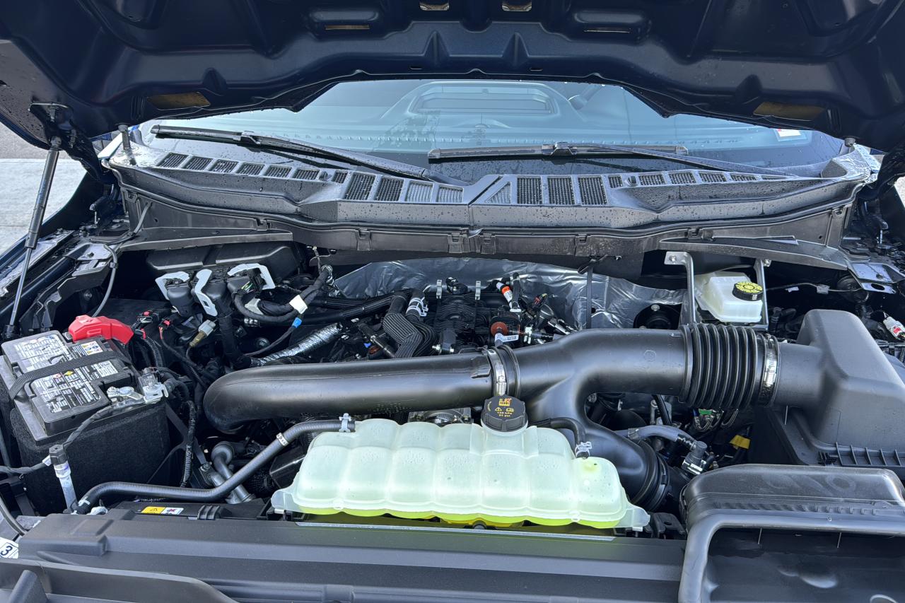 2025 Ford F-150 STX Photo5