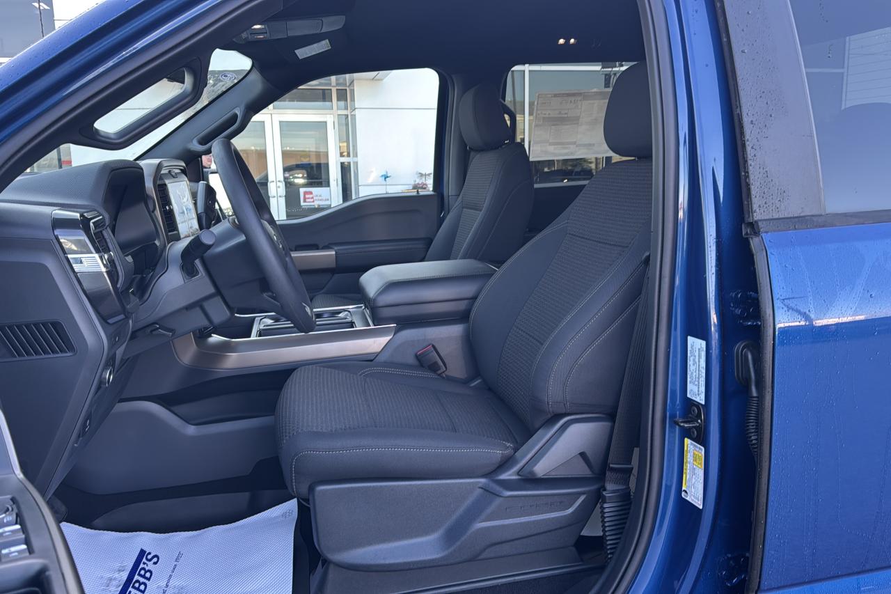 2025 Ford F-150 STX Photo5