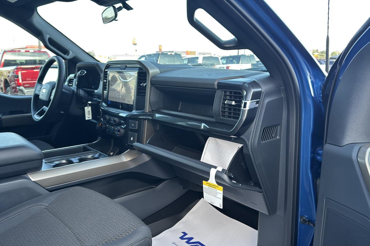 2025 Ford F-150 STX Photo5