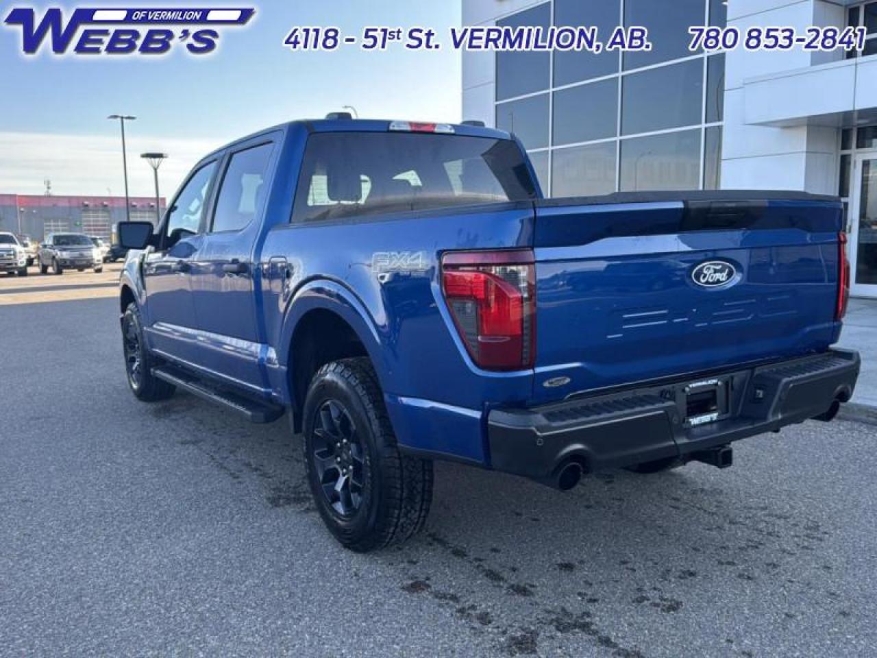 2025 Ford F-150 STX Photo5