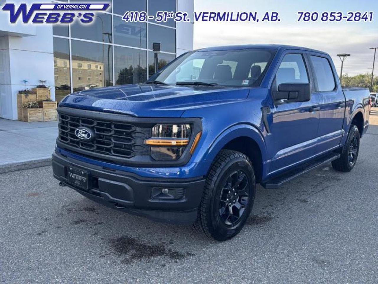 2025 Ford F-150 STX Photo5