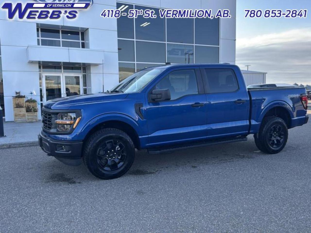 2025 Ford F-150 STX Photo