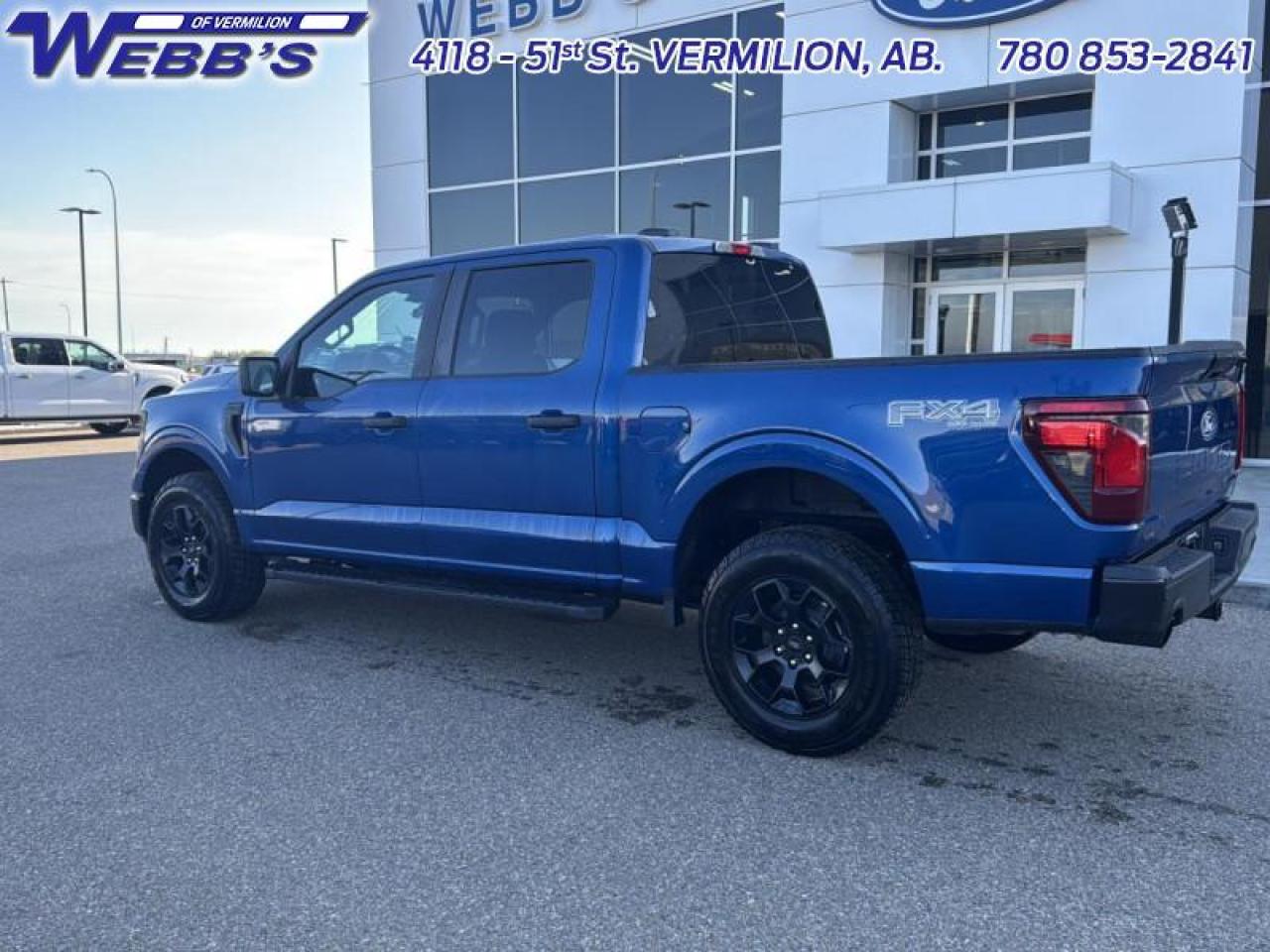 2025 Ford F-150 STX Photo5