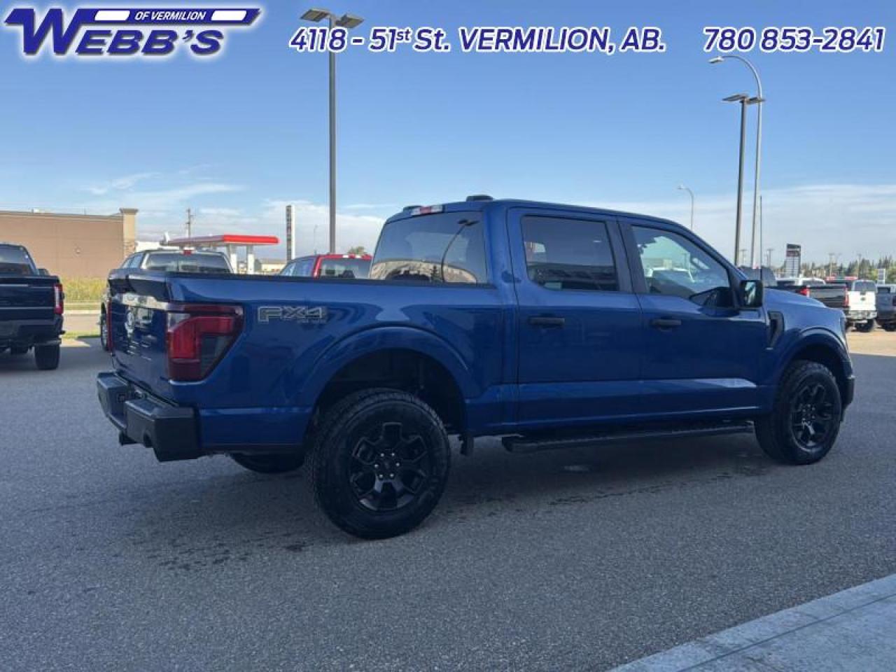 2025 Ford F-150 STX Photo5