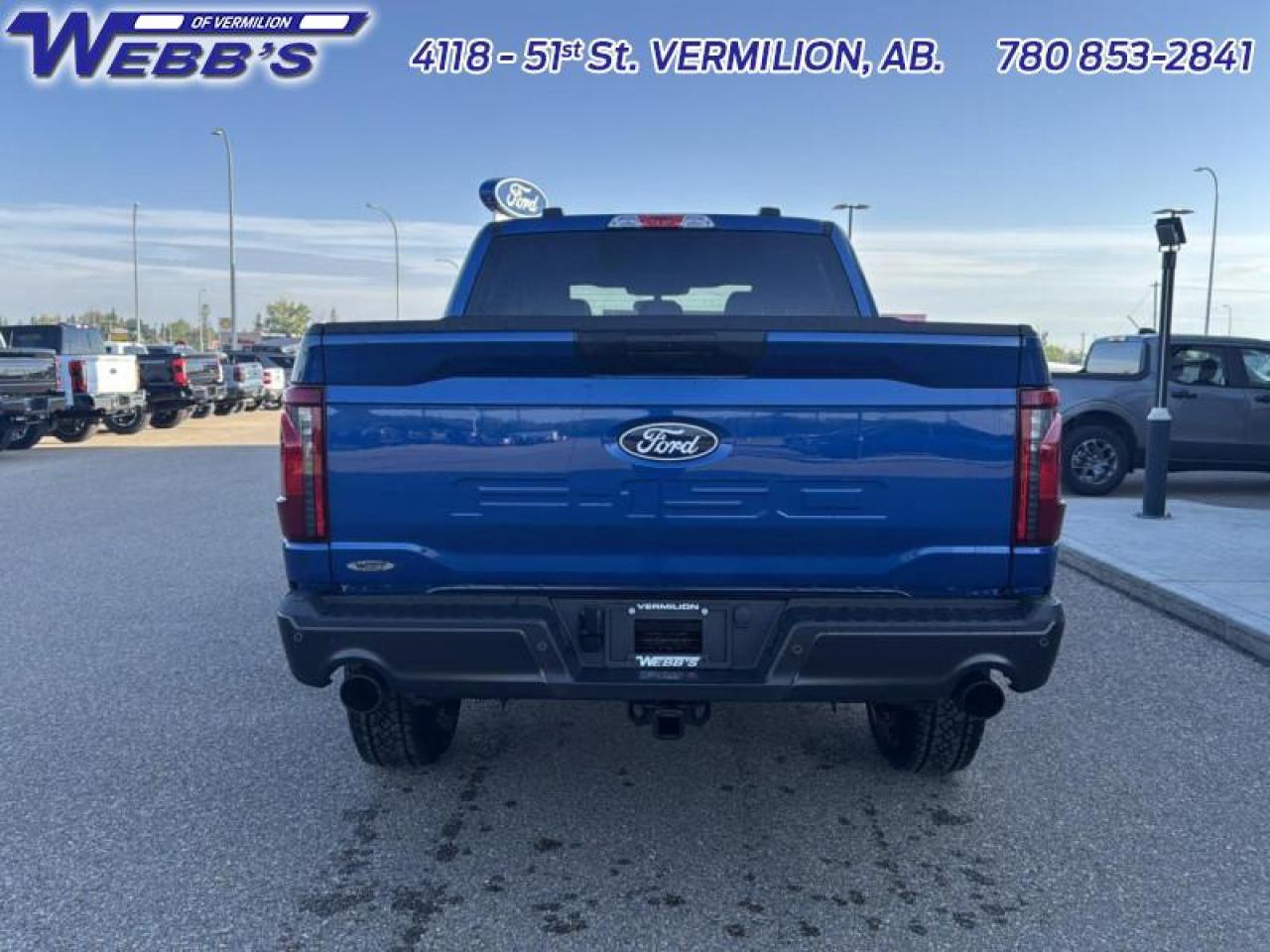 2025 Ford F-150 STX Photo5