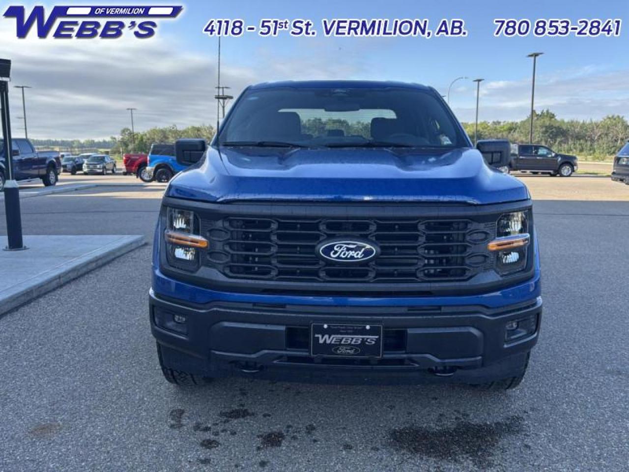 2025 Ford F-150 STX Photo5