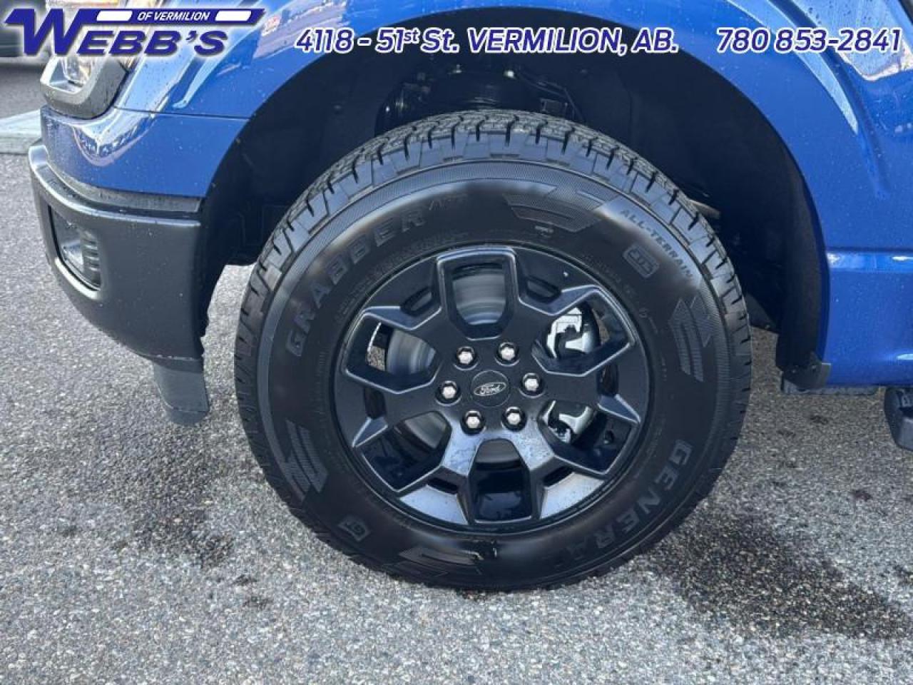 2025 Ford F-150 STX Photo5