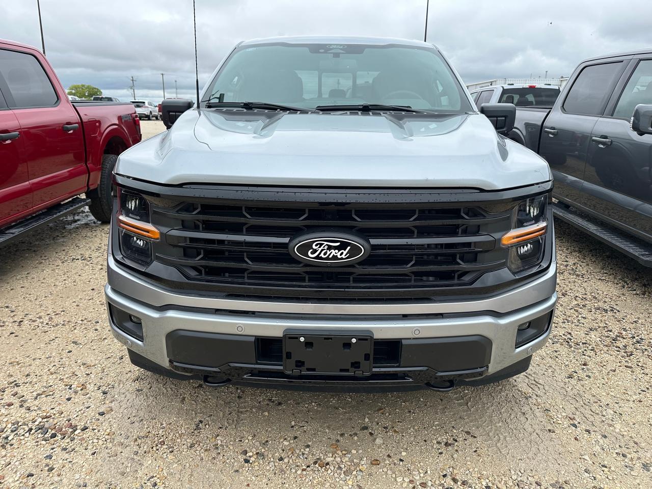 2025 Ford F-150 XLT 4WD SuperCrew 5.5' Box 302A Photo