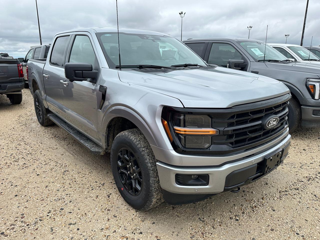 2025 Ford F-150 XLT 4WD SuperCrew 5.5' Box 302A Photo5