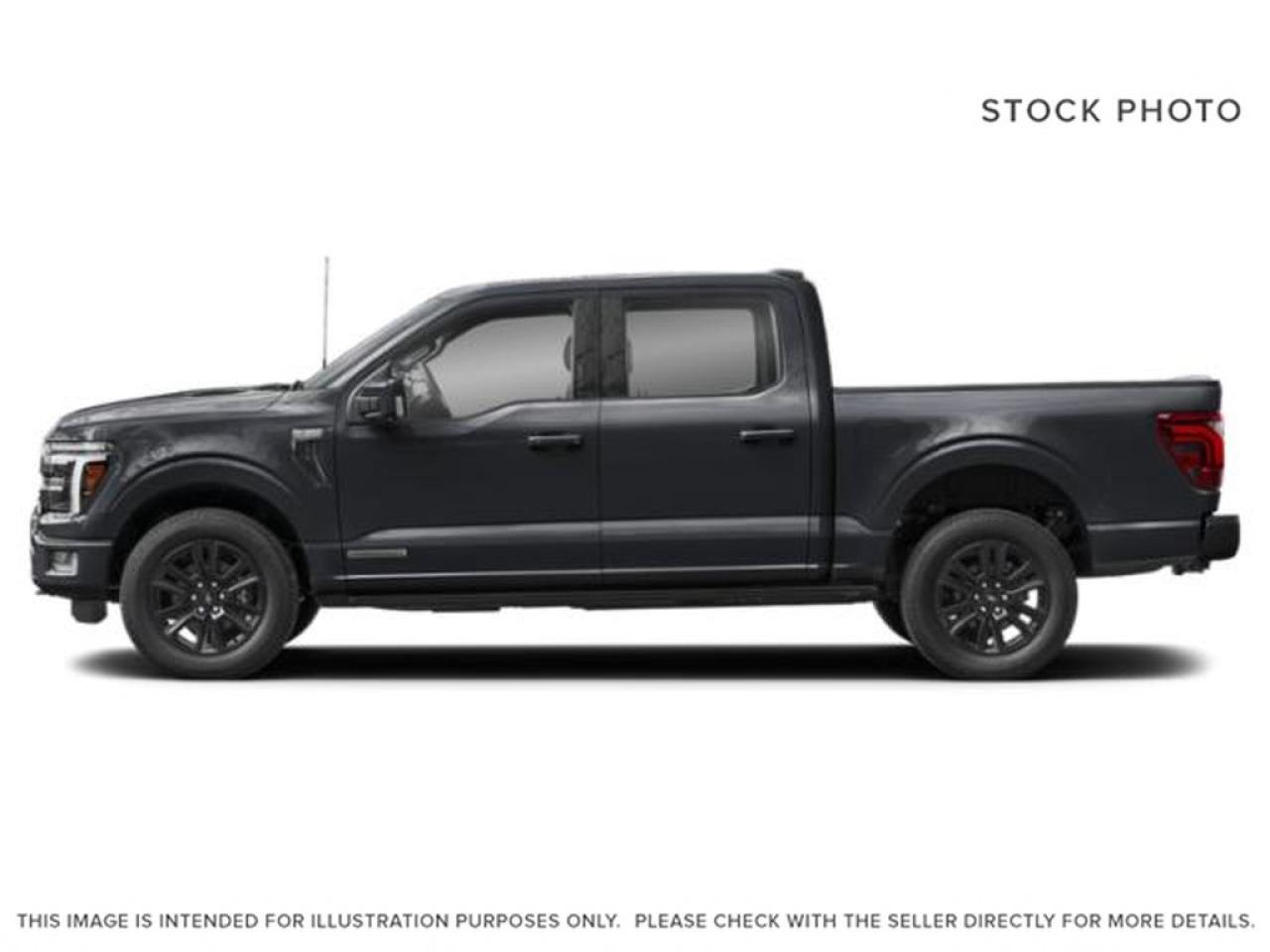 2024 Ford F-150 PLATINUM Photo1