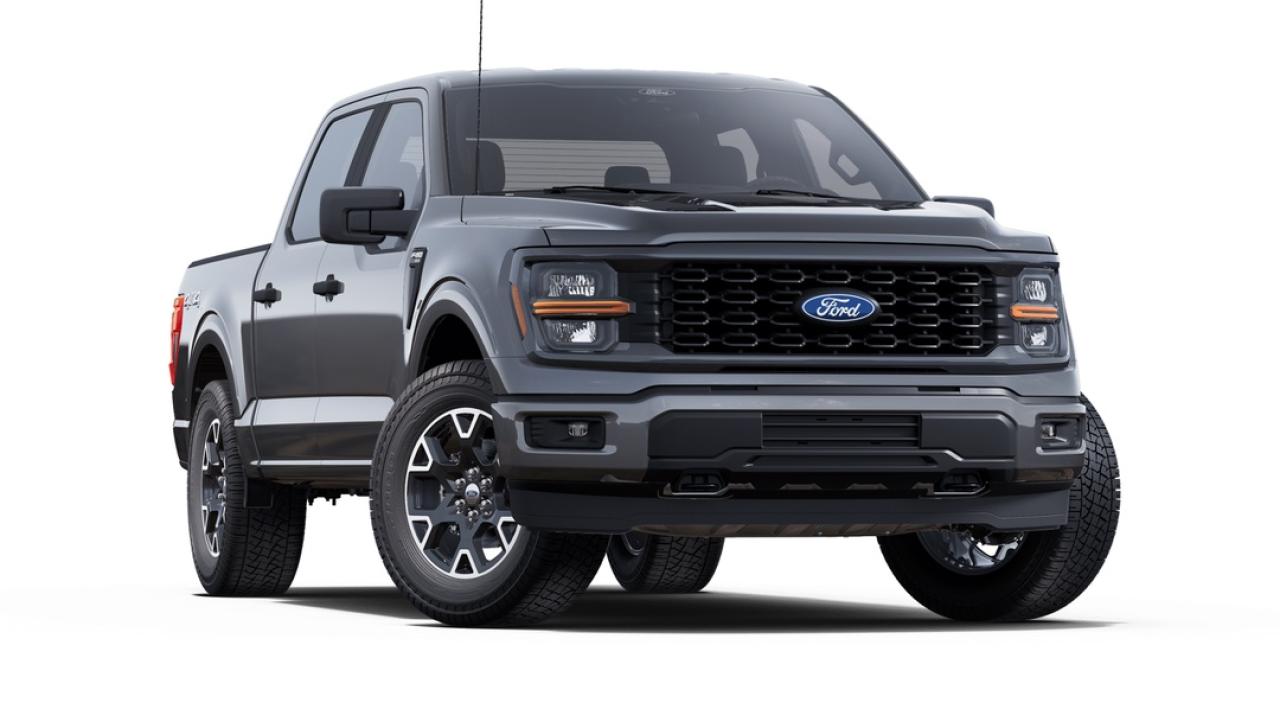 2025 Ford F-150 STX Photo3