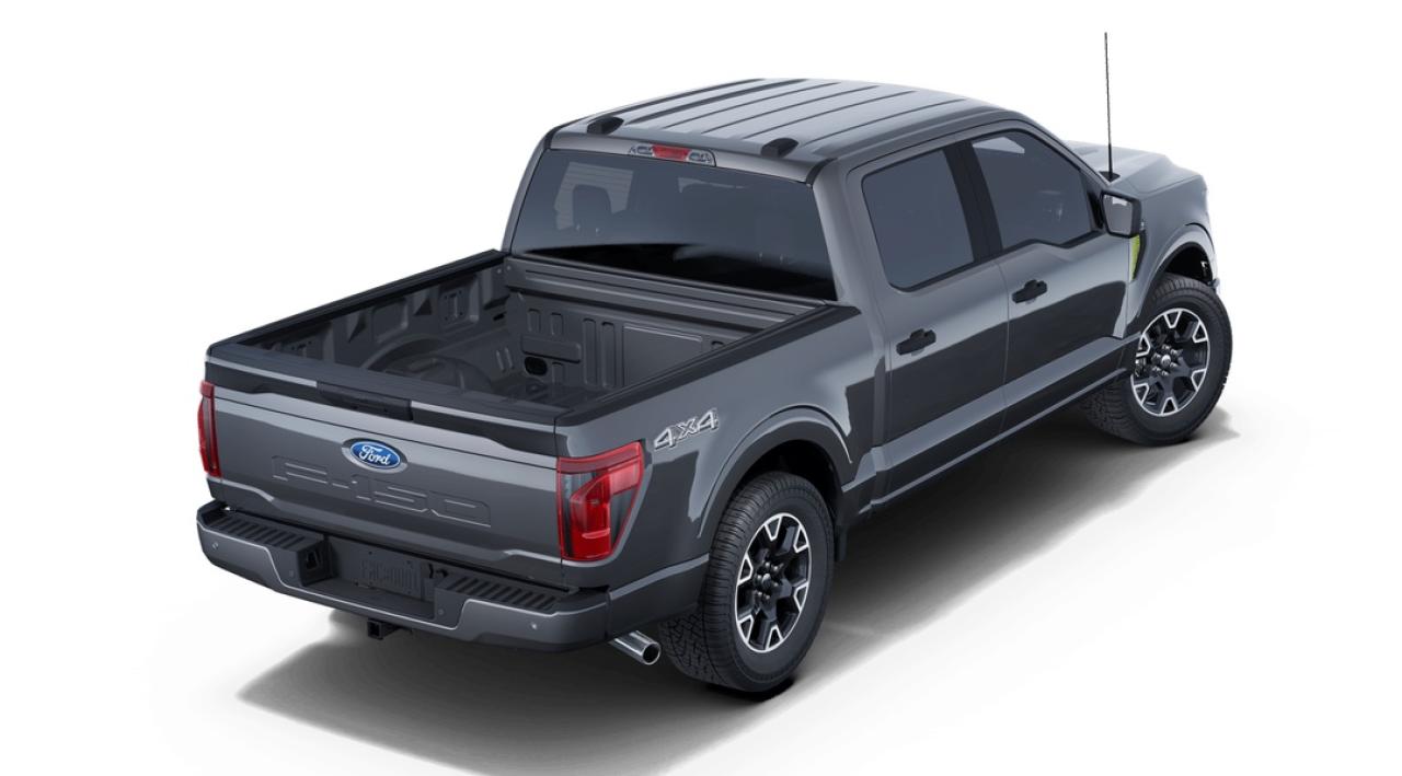 2025 Ford F-150 STX Photo2