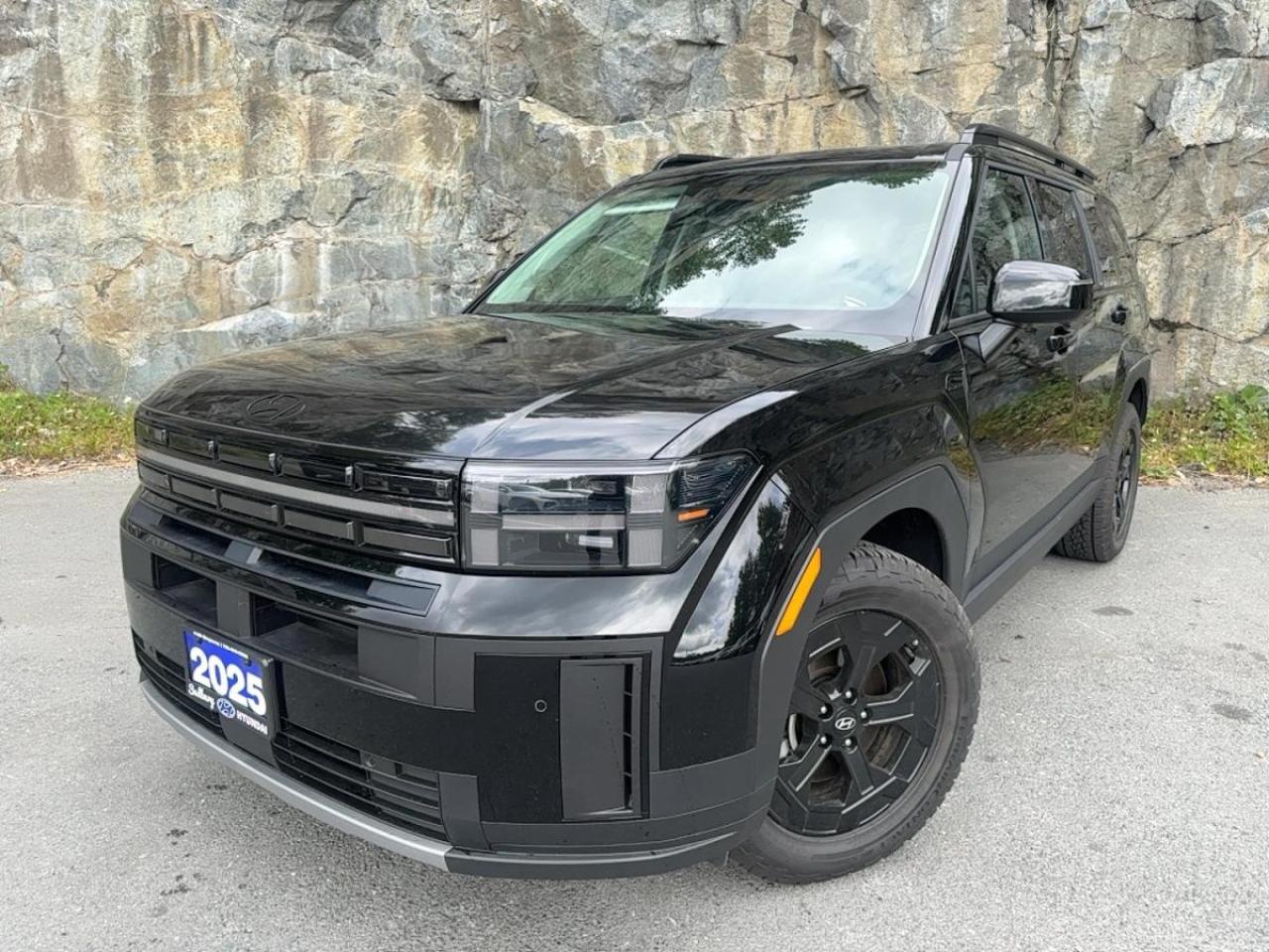 2025 Hyundai Santa Fe XRT AWD Photo0