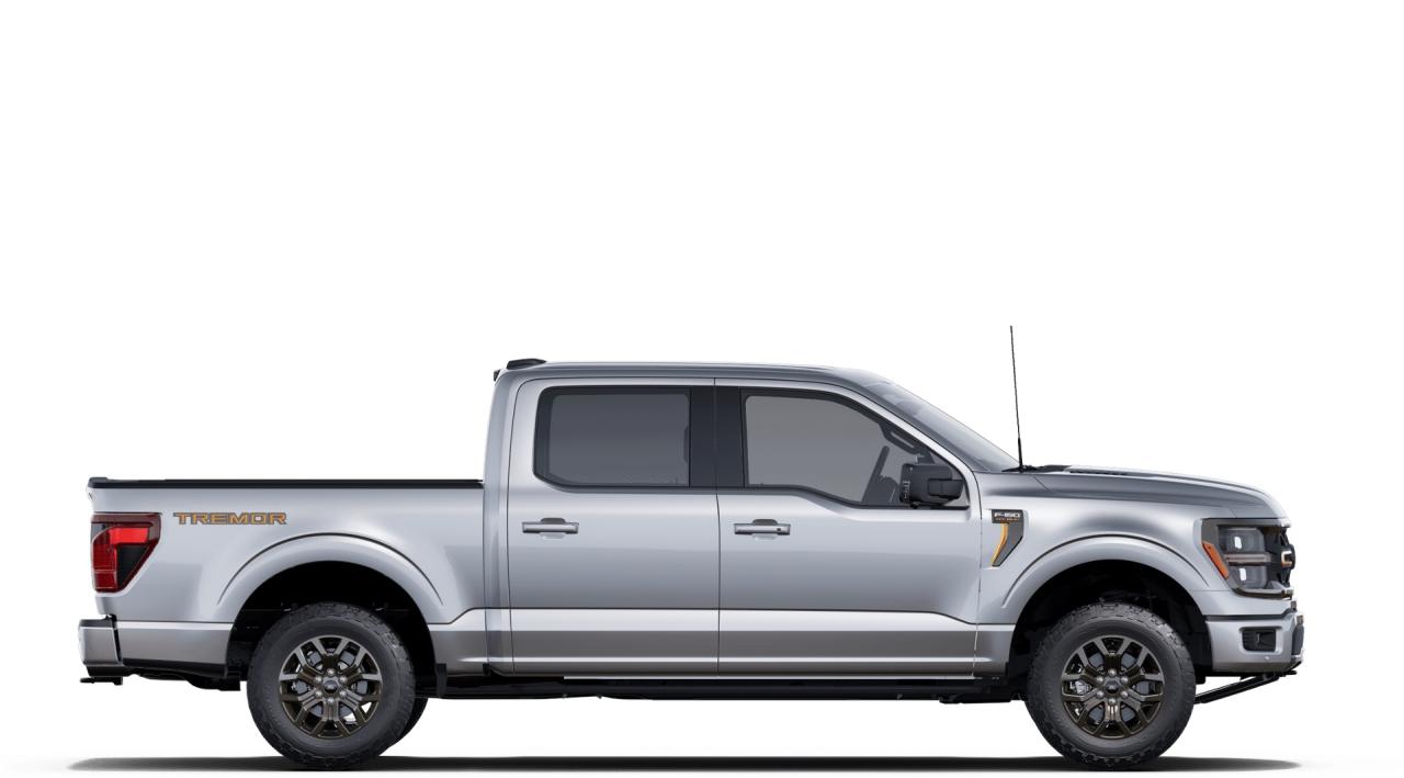 2025 Ford F-150  Photo4