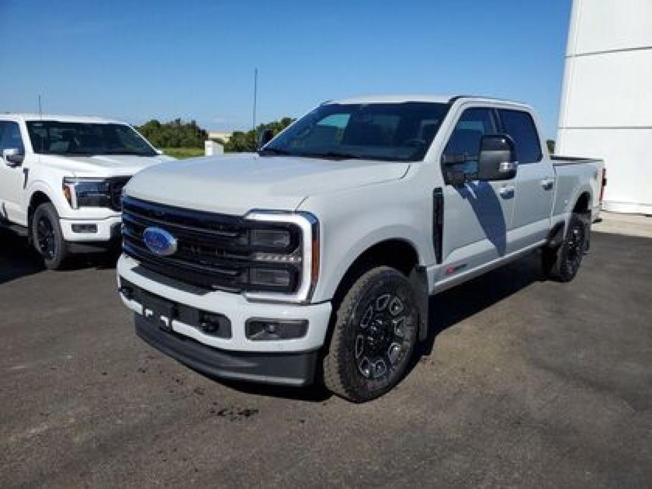 New 2025 Ford F-350 Platinum for sale in Moose Jaw, SK
