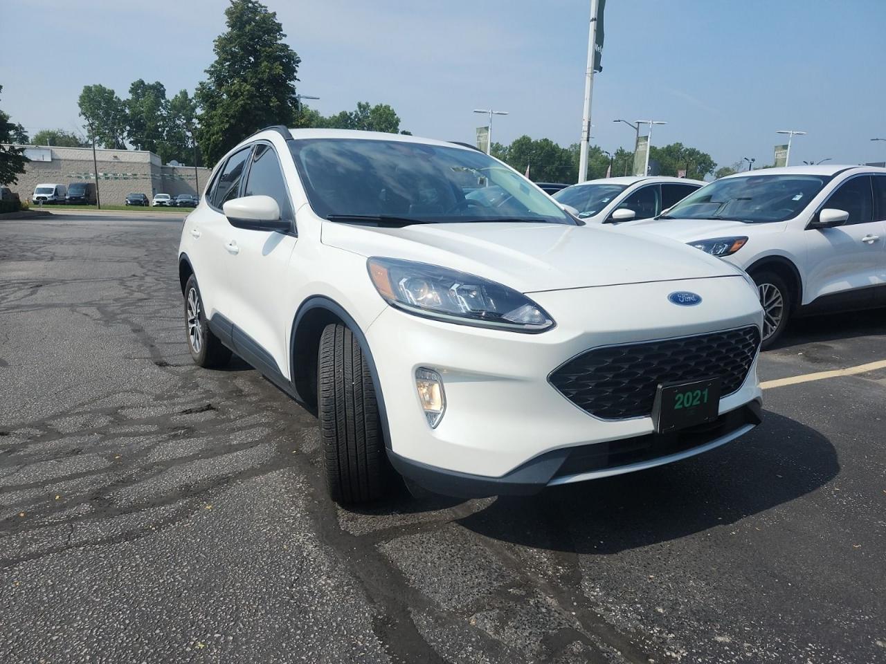 2021 Ford Escape SEL Photo