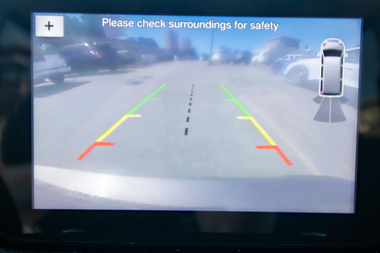 2020 Ford Transit Connect XLT w/Dual Sliding Doors & Rear Liftgate Photo5