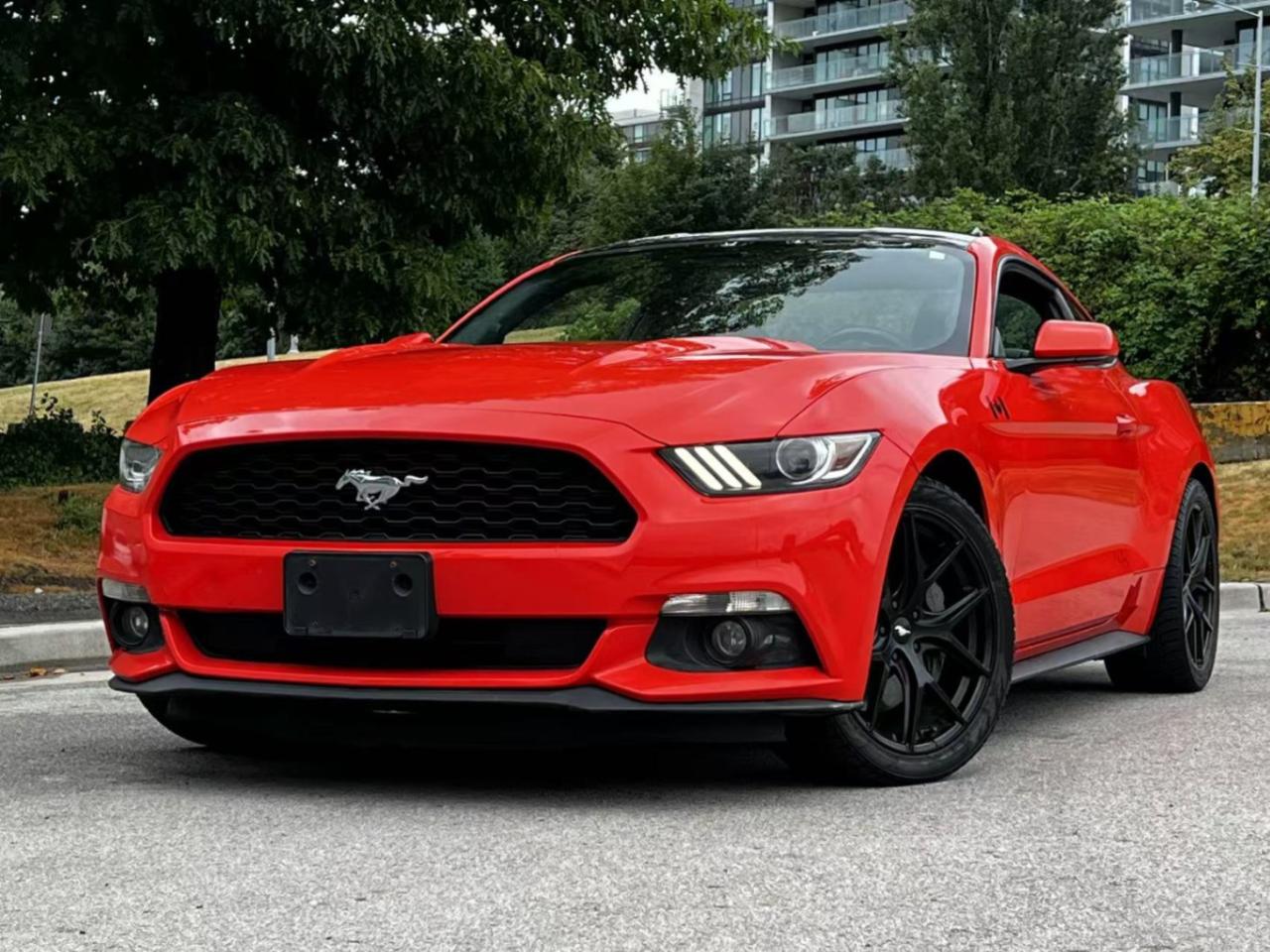 Used 2015 Ford Mustang Fastback EcoBoost/ NO ACCIDENT/ PRMIUM PKG/ BC LOCAL for sale in Richmond, BC