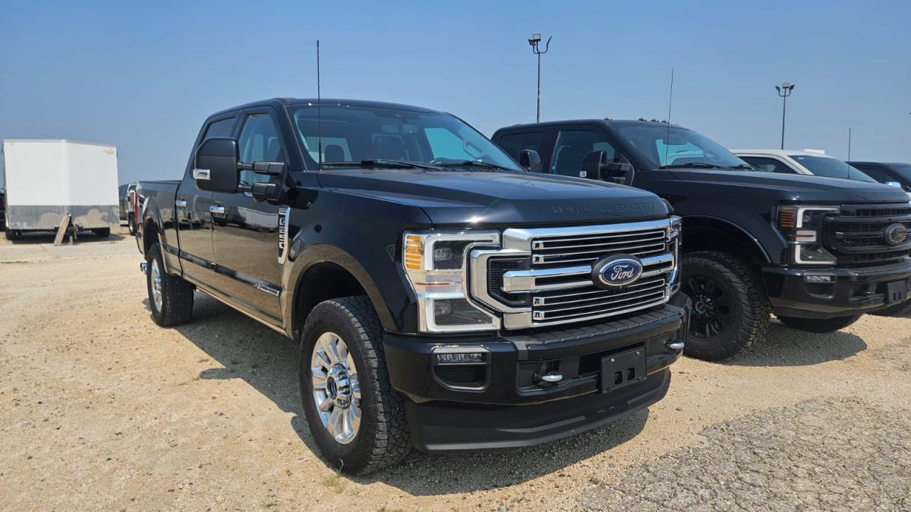 2022 Ford SUPER DUTY F-250 SRW Limited Photo