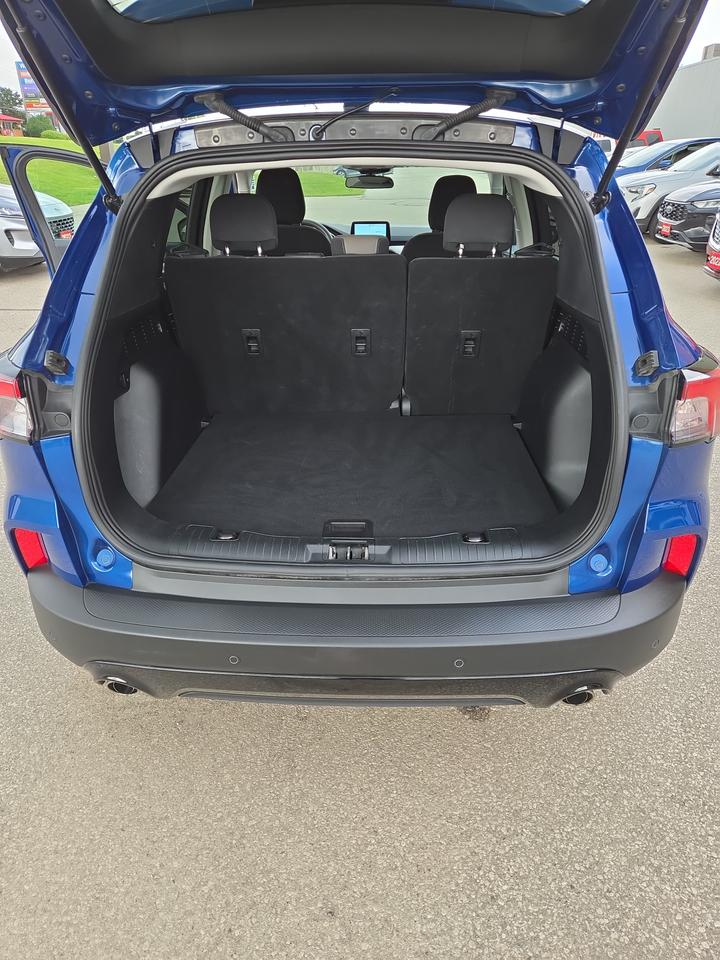 2022 Ford Escape SE Photo