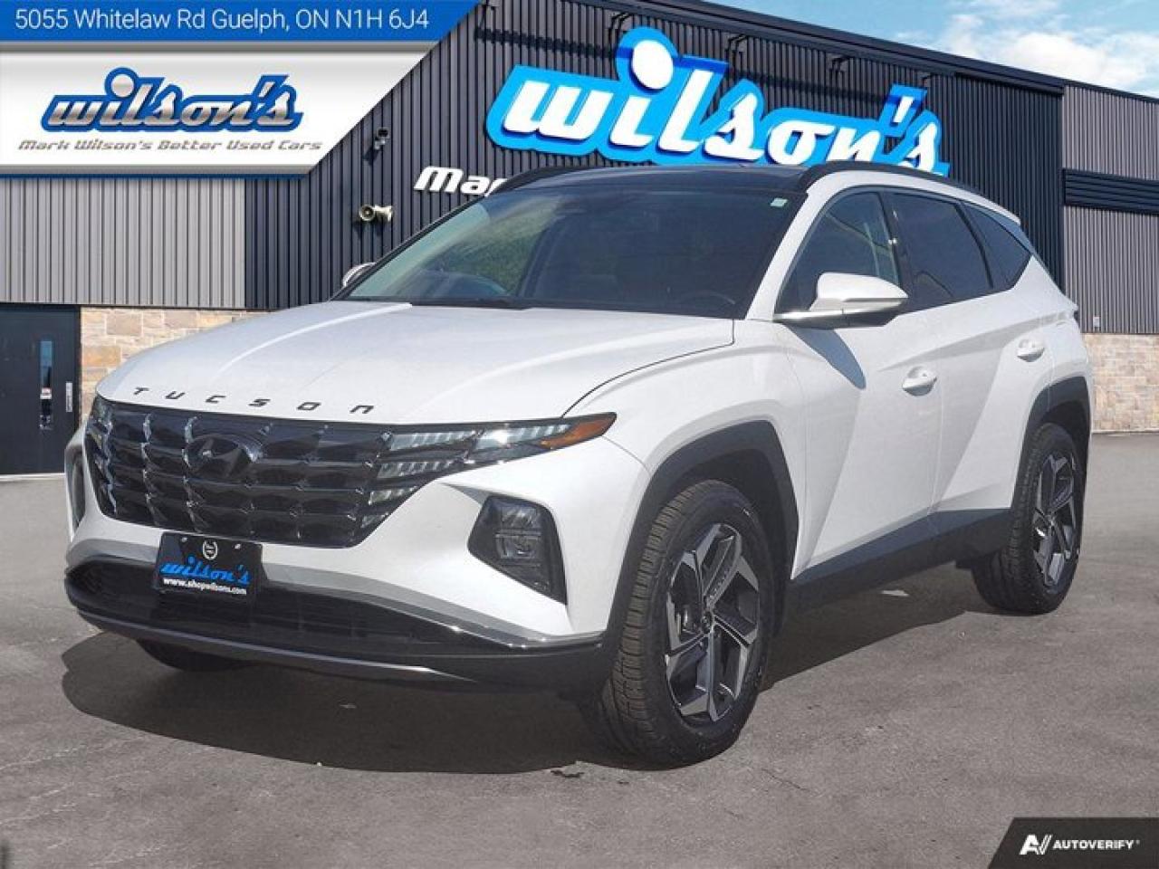 Used 2023 Hyundai Tucson Hybrid Luxury Hybrid | Leather | Panoroof | Adaptive Cruise | Apple CarPlay | Android Auto | and More ! for sale in Guelph, ON