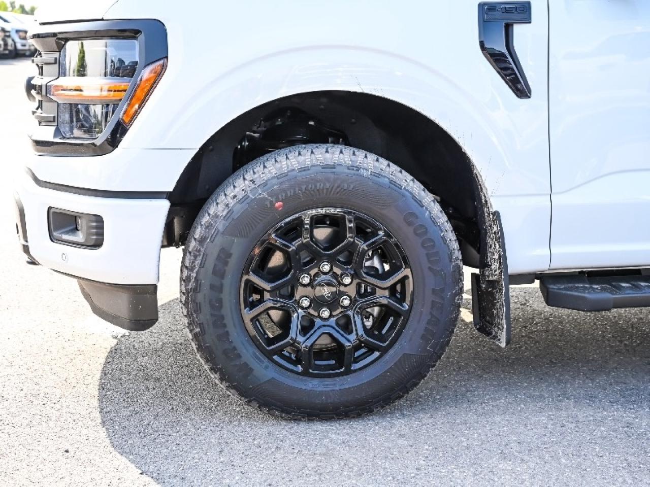 2025 Ford F-150 XLT Photo