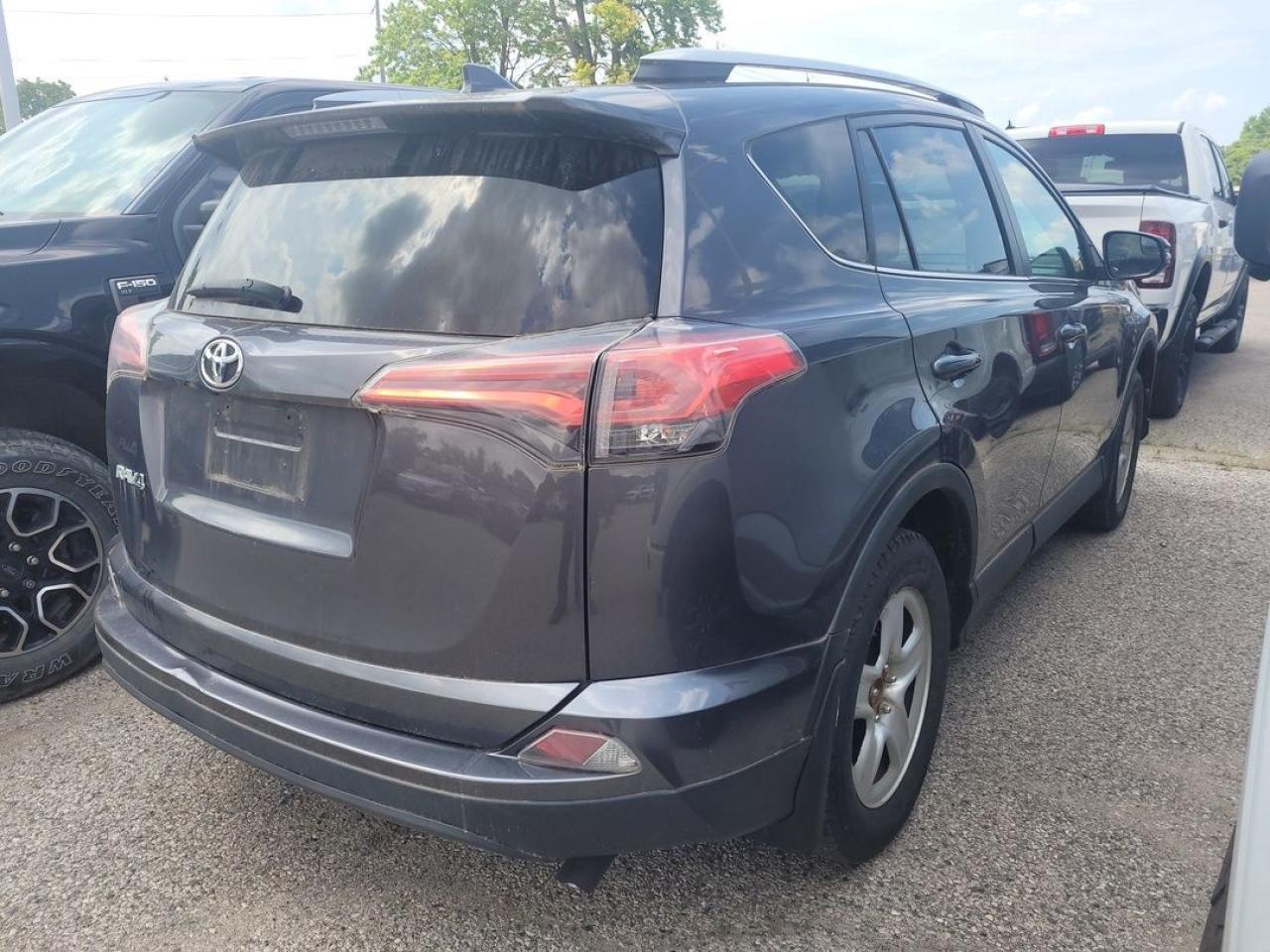 2016 Toyota RAV4 LE Photo4