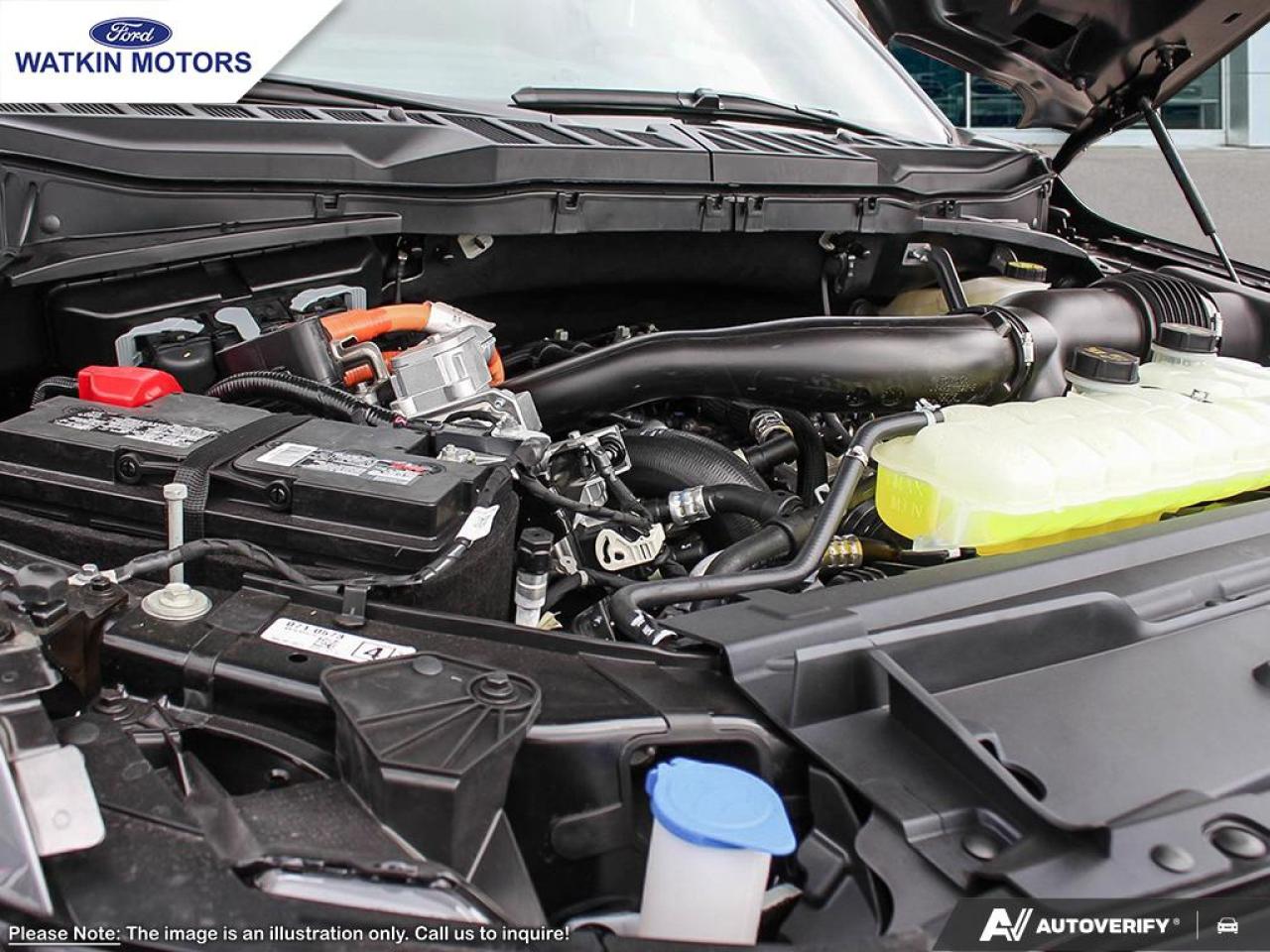 2025 Ford F-150 XLT Photo24