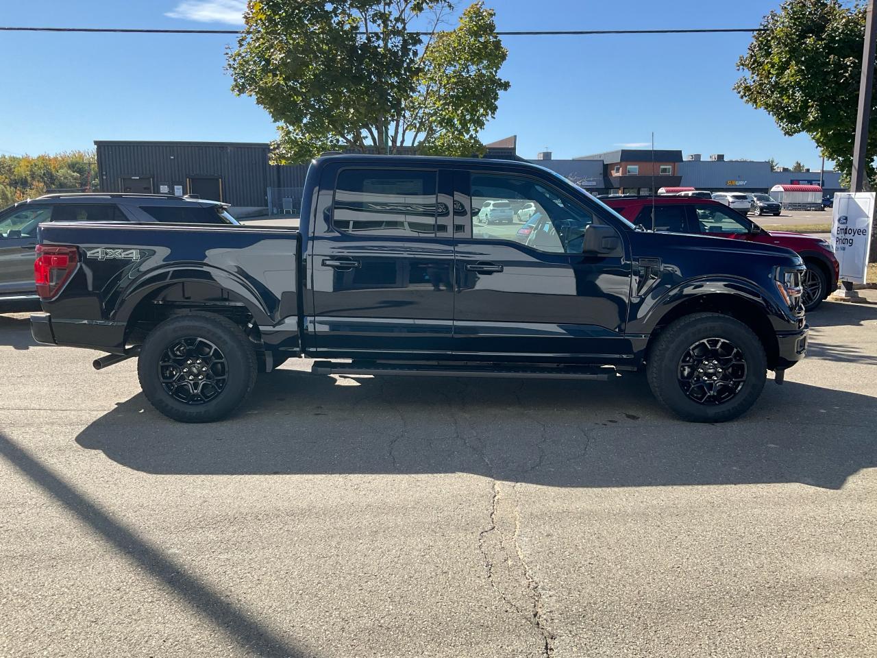 2025 Ford F-150 XLT Photo5