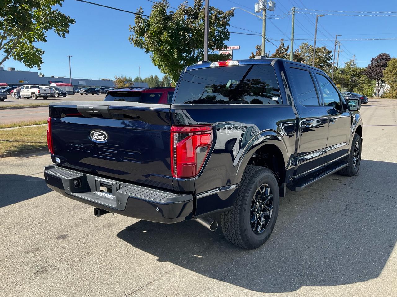 2025 Ford F-150 XLT Photo5