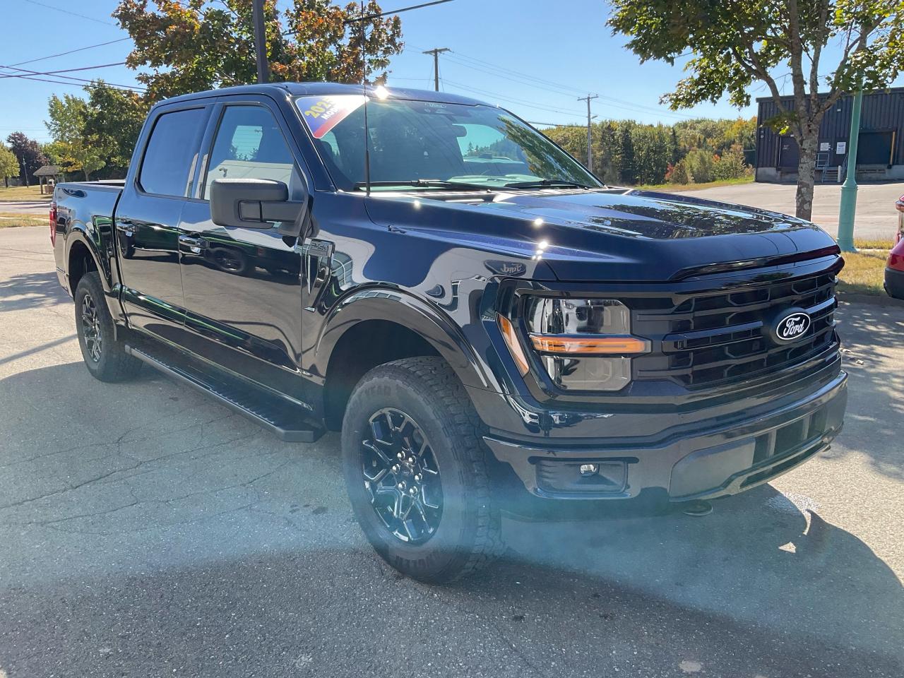 2025 Ford F-150 XLT Photo5