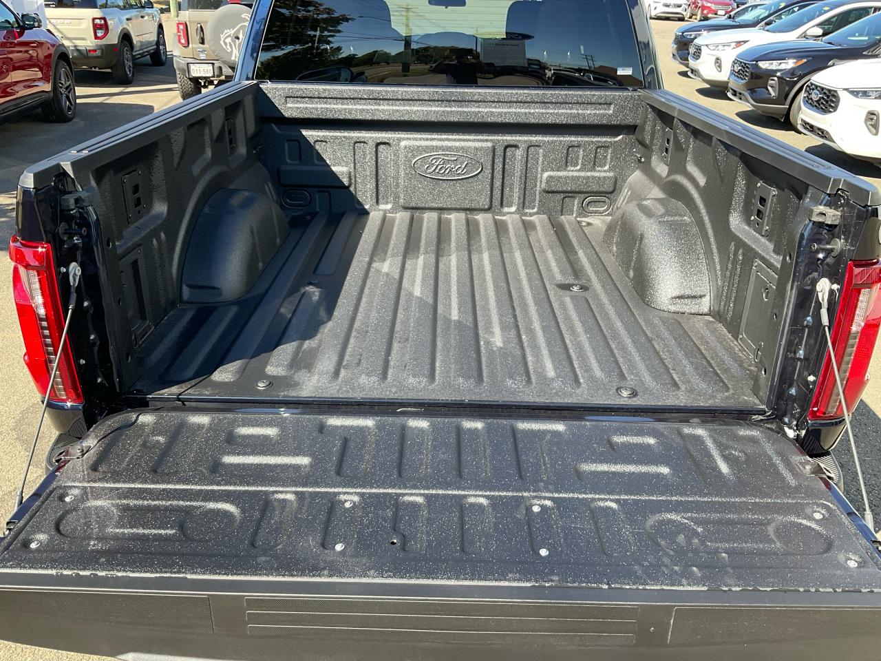 2025 Ford F-150 XLT Photo5