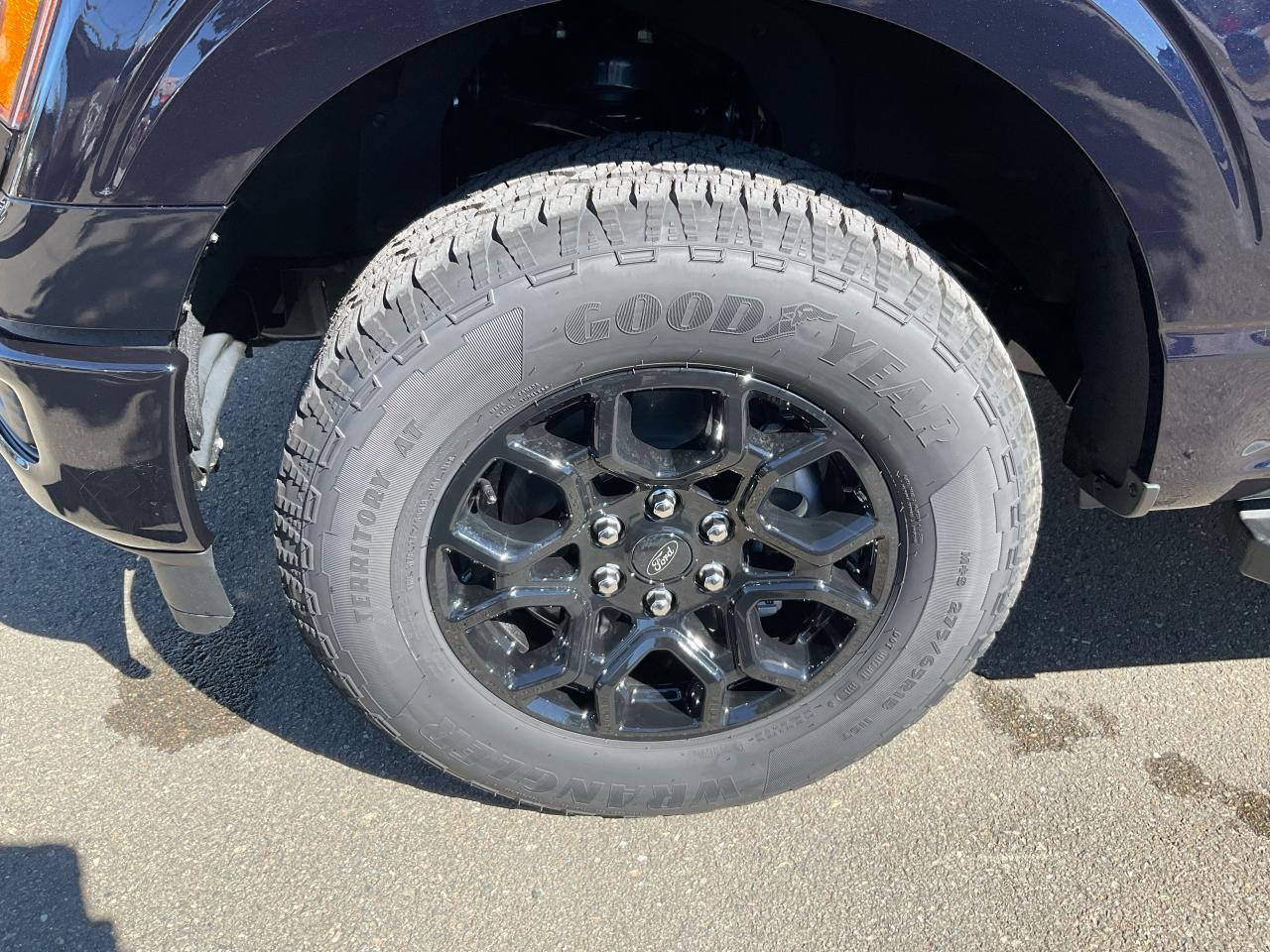 2025 Ford F-150 XLT Photo5